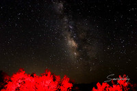 IMG_0251-Edit ZZ