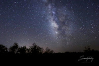 IMG_0262-Edit ZZ LR