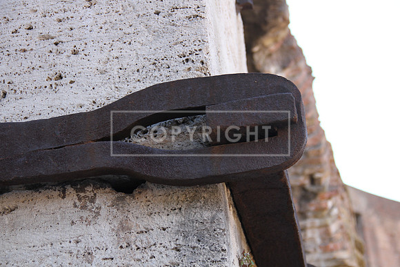 Rome2015_A_0668