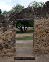 IMG_0037 a
