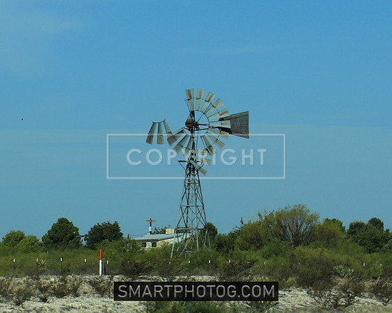 IMG_0495 a